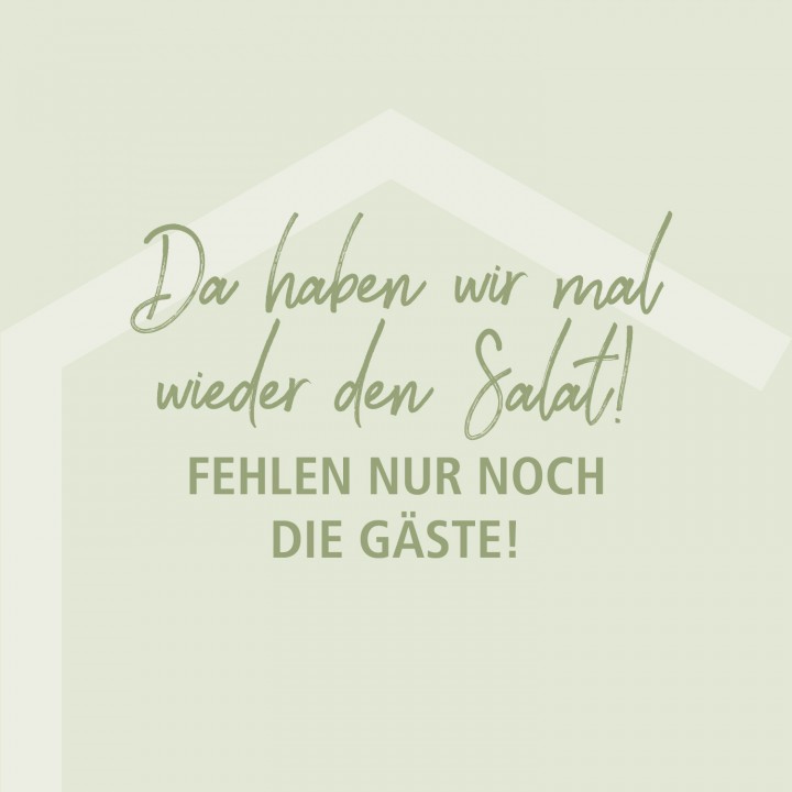 Da haben wir mal wieder Salat